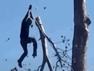 Total Idiots At Work Caught On Camera