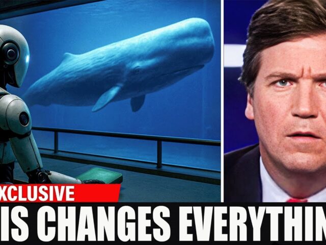 Scientists Just Decoded Language of the Whales Using AI… And It’s Not What You Think